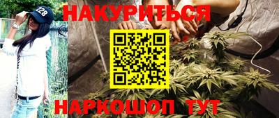 крисы Гатчина