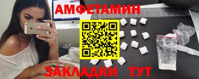 крисы Гатчина