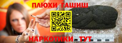 крисы Гатчина