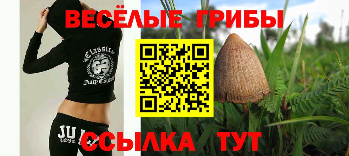 МЕФ Россошь